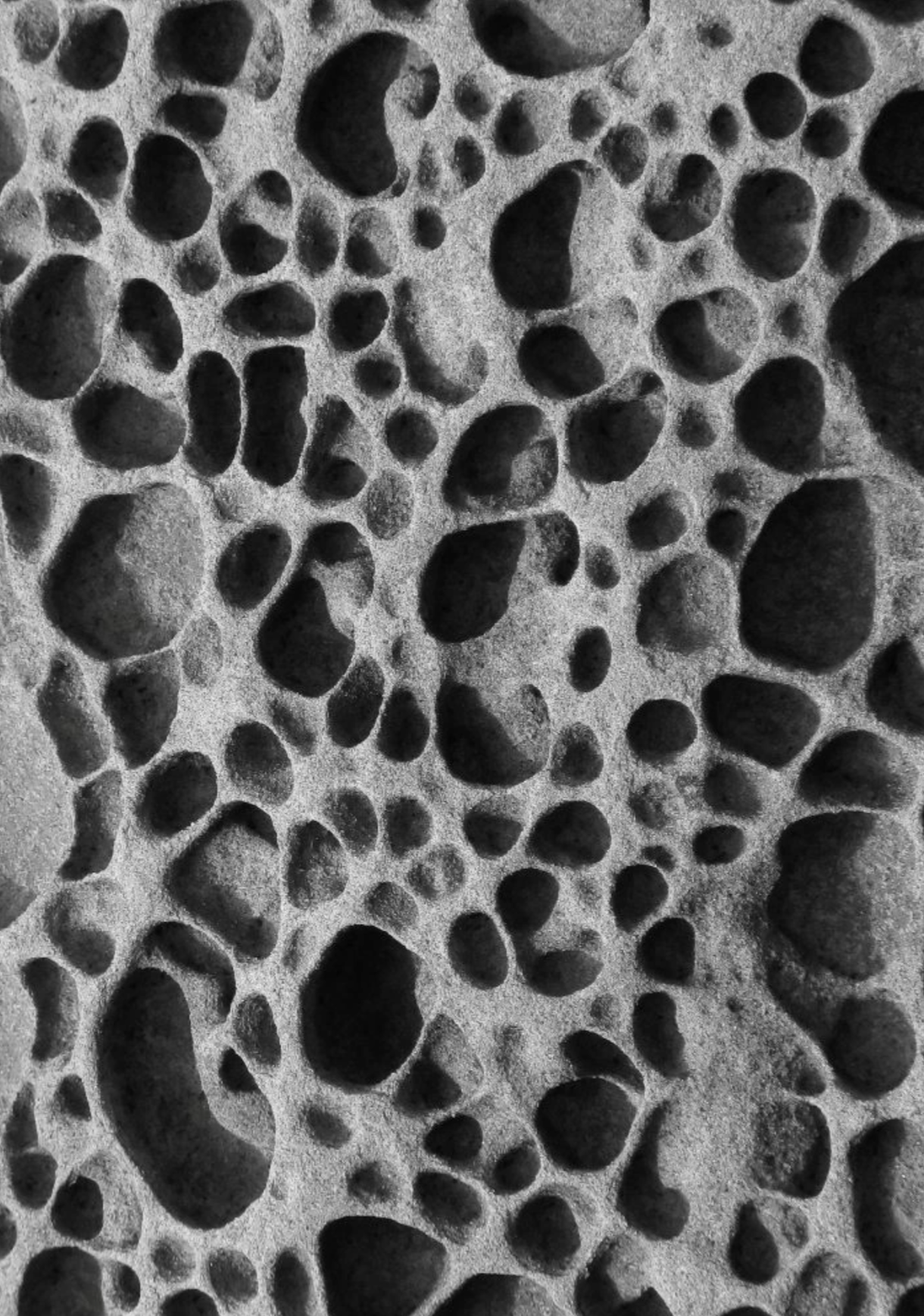 Lactate as a Fuel: What the science shows